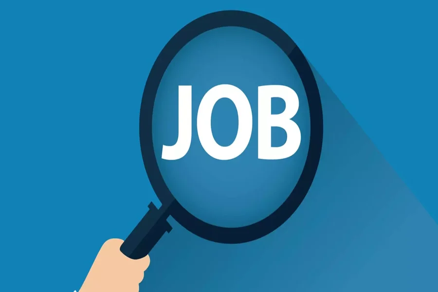 Jobzhunting Made Simple for Fresh Graduates and Professionals Guide